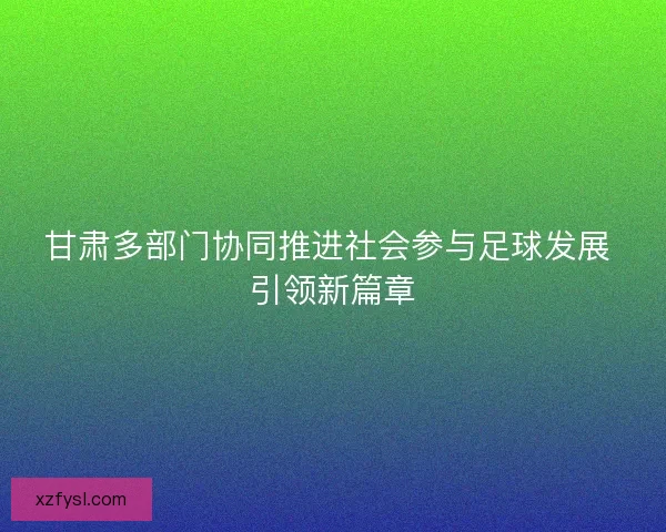 甘肃多部门协同推进社会参与足球发展 引领新篇章