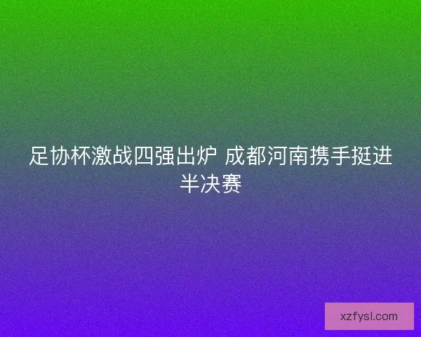 足协杯激战四强出炉 成都河南携手挺进半决赛